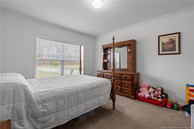 4194 Abattoir Rd, Angier, NC 27501 - photo 23