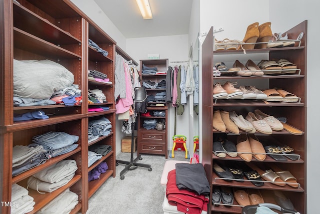 1030 Thoughtful Spot Ln, Durham, NC 27703 - spacious closet with carpet flooring