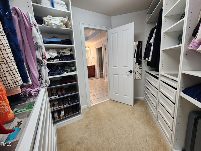 walk in closet with light colored carpet