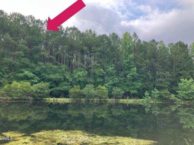00 Wildberry Rd, Smithfield, NC 27577 - photo 1