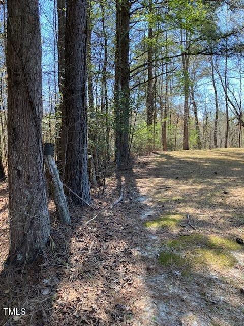 00 Wildberry Rd, Smithfield, NC 27577 - photo 7