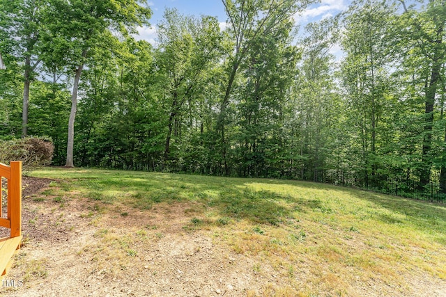 315 Copper Ridge Dr, Sanford, NC 27330 - view of yard