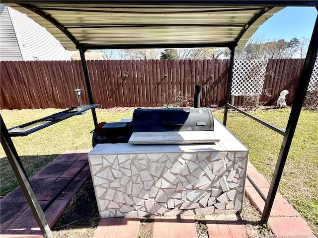 view of patio / terrace featuring a fenced backyard and an outdoor kitchen