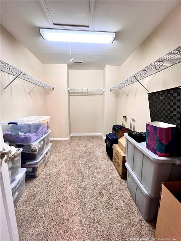 walk in closet with attic access and carpet flooring