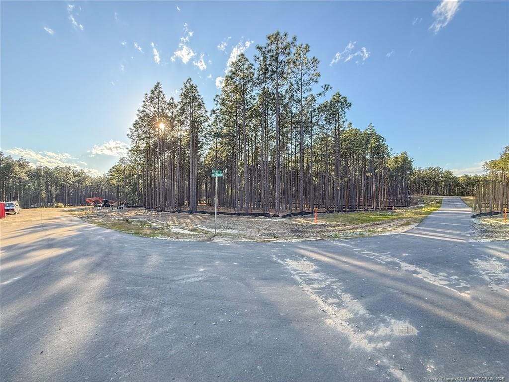 1106 Wolf Pine Ct, Fayetteville, NC 28311 - photo 2