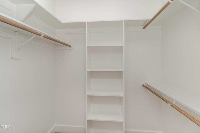 view of spacious closet