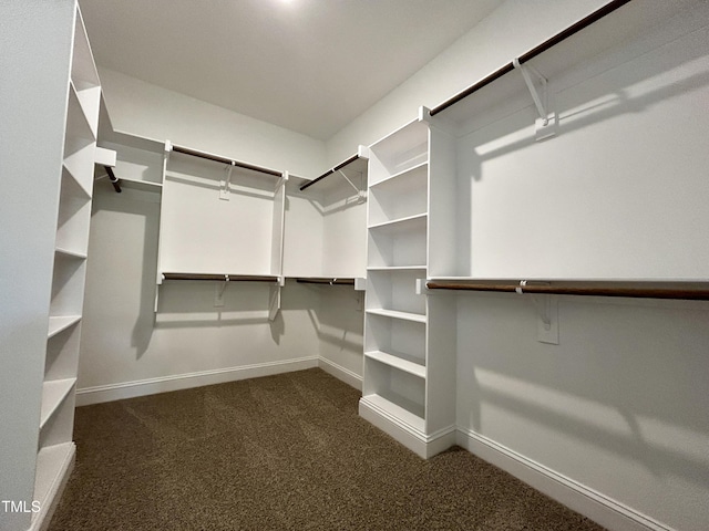 3912 Origin Dr, Bailey, NC 27807 - walk in closet with dark colored carpet