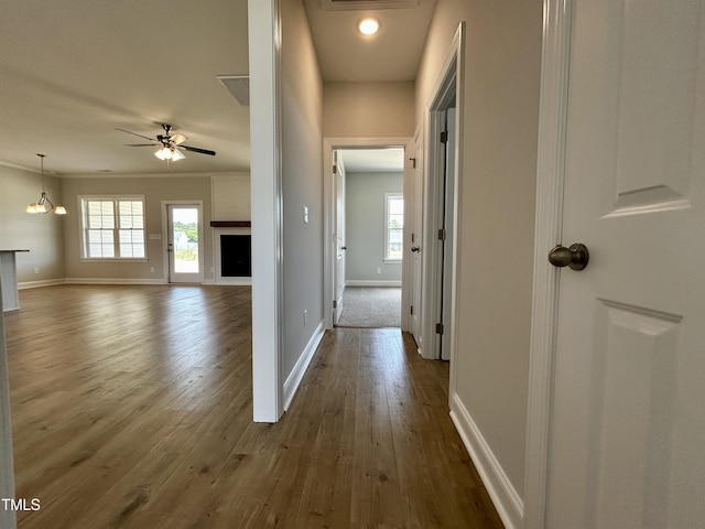 3912 Origin Dr, Bailey, NC 27807 - hallway with baseboards, dark wood-style flooring, and crown molding