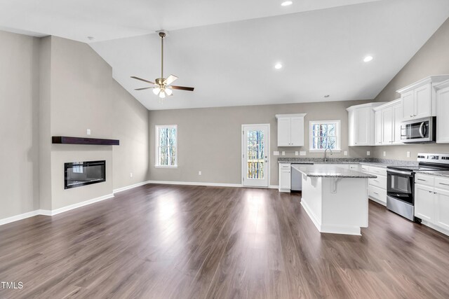 3027 Wesley Farm Ln, Sophia, NC 27350 - kitchen with open floor plan, dark wood-style floors, a center island, and appliances with stainless steel finishes
