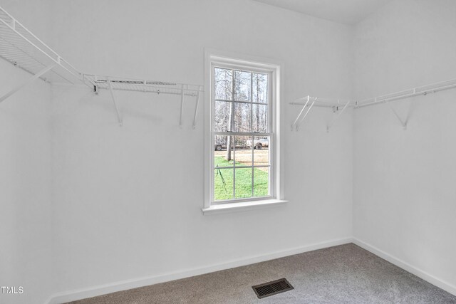 3027 Wesley Farm Ln, Sophia, NC 27350 - spacious closet featuring visible vents and carpet