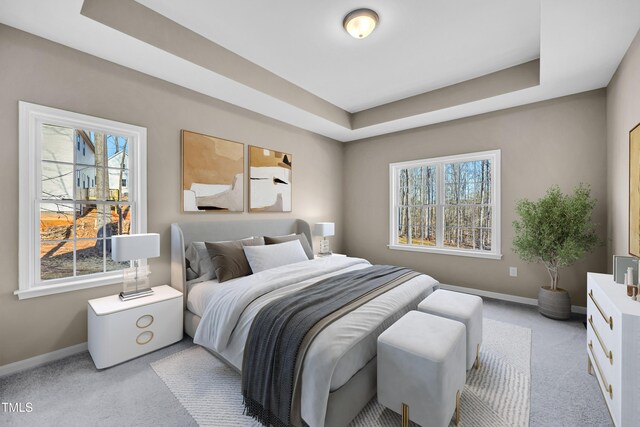 3027 Wesley Farm Ln, Sophia, NC 27350 - bedroom featuring baseboards, a tray ceiling, and light colored carpet