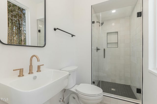 full bathroom featuring a shower stall, toilet, a sink, and a healthy amount of sunlight