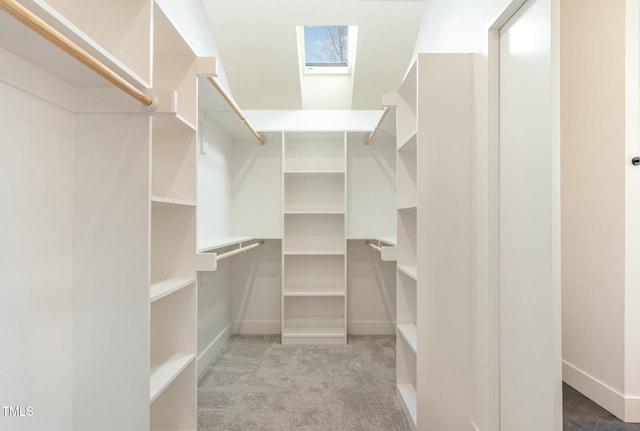 spacious closet featuring carpet floors and a skylight