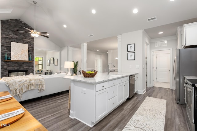 1053 Beechcraft Dr Unit 124, Mebane, NC 27302 - kitchen with open floor plan, stainless steel appliances, a sink, ceiling fan, and visible vents