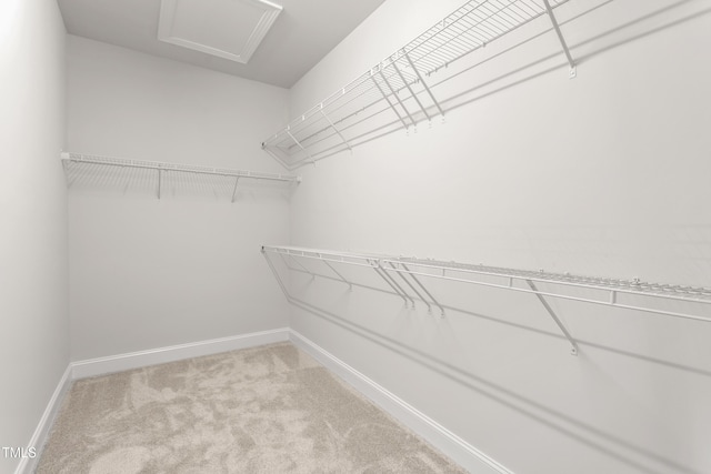 1053 Beechcraft Dr Unit 124, Mebane, NC 27302 - walk in closet with attic access and carpet