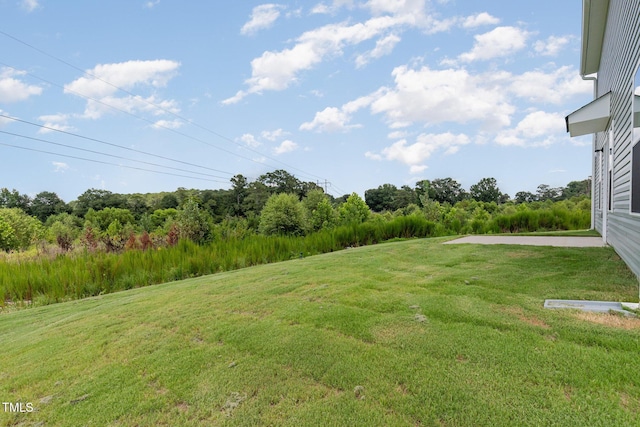 43 Chloe Ct, Selma, NC 27576 - photo 28