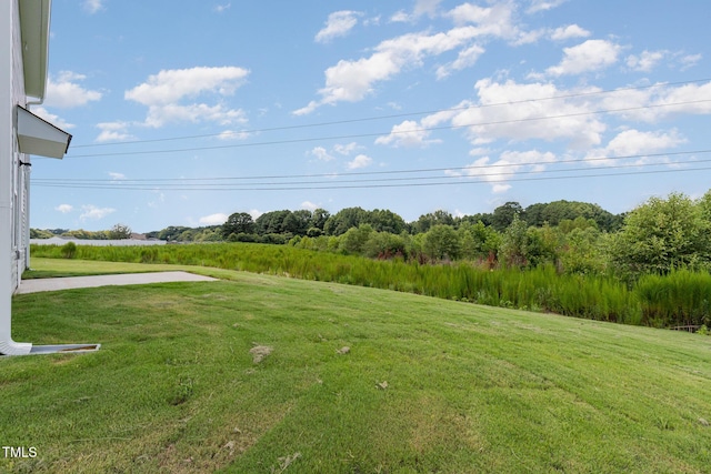 43 Chloe Ct, Selma, NC 27576 - photo 29