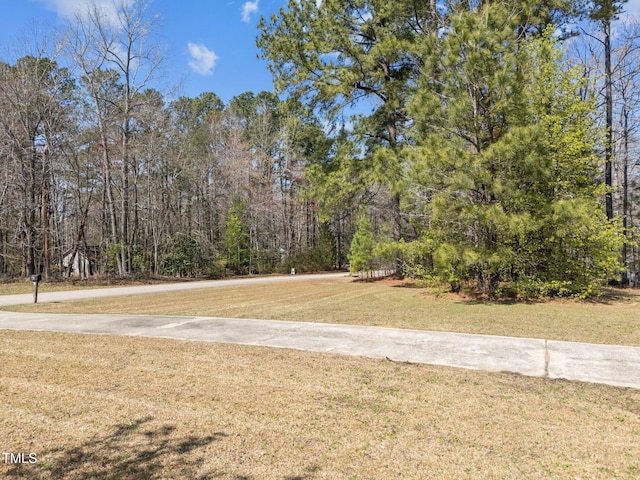 5408 Rivercrest Dr, Youngsville, NC 27596 - view of yard featuring a wooded view