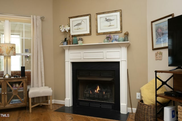 room details featuring a fireplace with flush hearth, baseboards, and wood finished floors