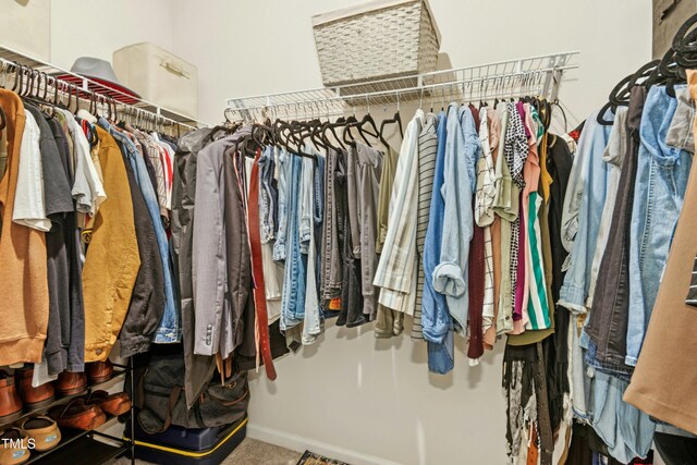 view of spacious closet