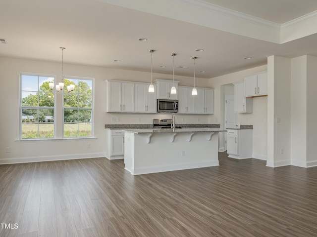 kitchen featuring white cabinetry, dark wood-style floors, and stainless steel appliances