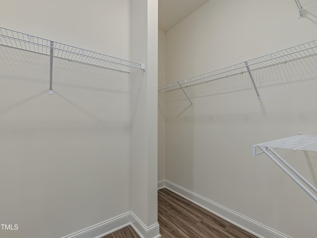 walk in closet featuring dark wood finished floors