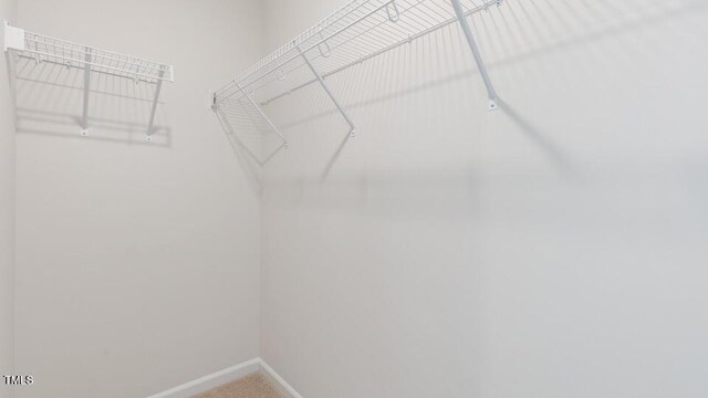 146 Holton St, Smithfield, NC 27577 - spacious closet featuring carpet floors