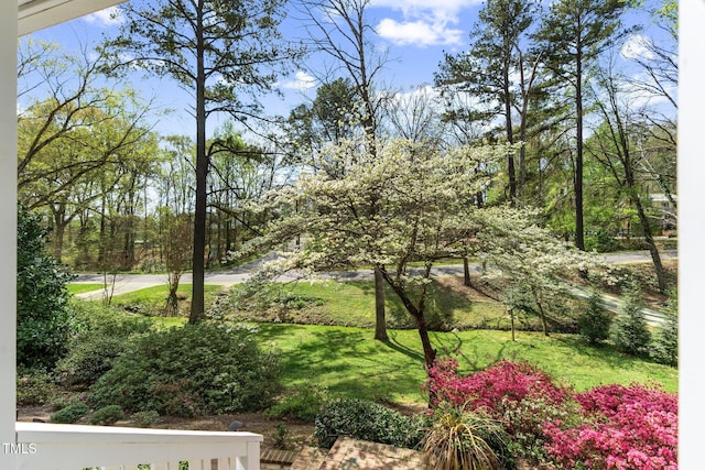 1302 Hermitage Rd, Sanford, NC 27330 - view of yard
