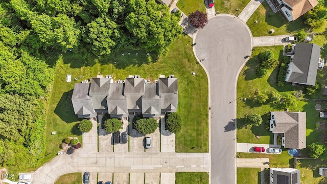 bird's eye view