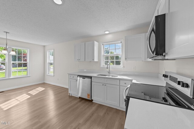 kitchen featuring light wood-type flooring, a sink, a textured ceiling, and appliances with stainless steel finishes