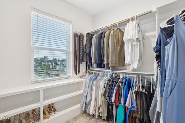 5616 Horsewalk Cir, Raleigh, NC 27606 - view of walk in closet