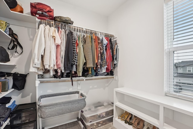 5616 Horsewalk Cir, Raleigh, NC 27606 - view of spacious closet