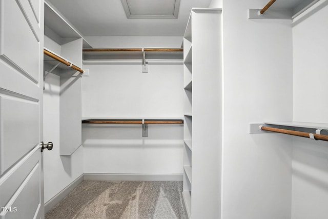 5500 Lake Wendell Rd, Zebulon, NC 27597 - walk in closet with carpet flooring and attic access
