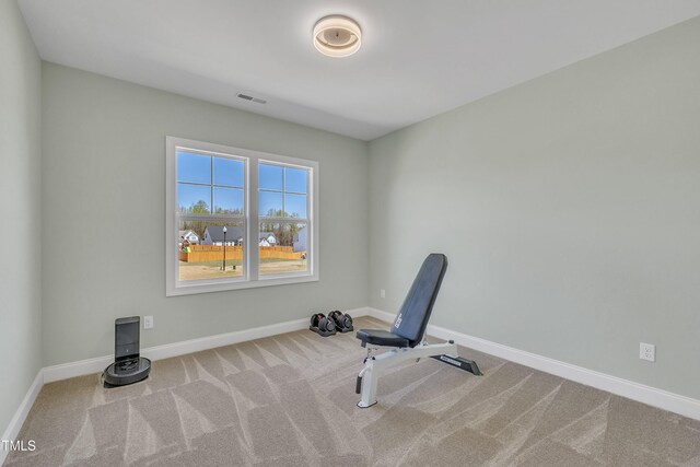 182 Prince Place Dr, Fuquay Varina, NC 27526 - photo 43