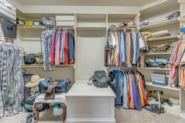 5595 Godwin Lake Rd, Benson, NC 27504 - walk in closet with carpet flooring
