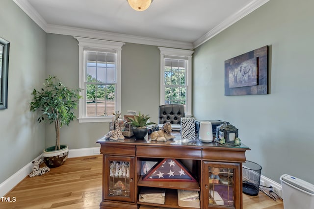 5595 Godwin Lake Rd, Benson, NC 27504 - office space with a healthy amount of sunlight, baseboards, crown molding, and wood finished floors