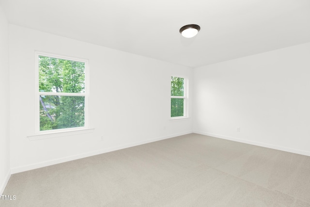 111 Silver Moon Ln Unit 121, Clayton, NC 27527 - carpeted empty room featuring a wealth of natural light and baseboards