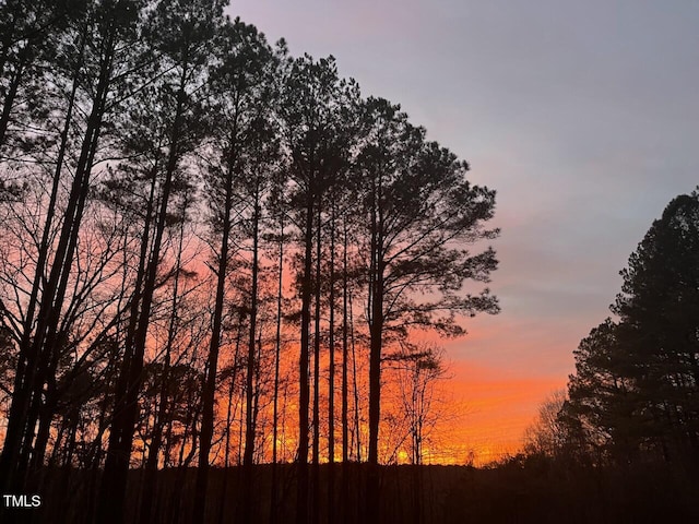 view of nature at dusk