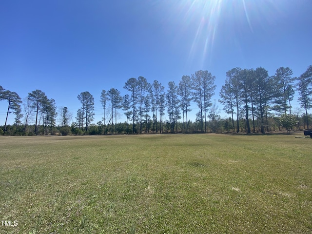 176 Clear Water Dr, Smithfield, NC 27577 - view of green lawn