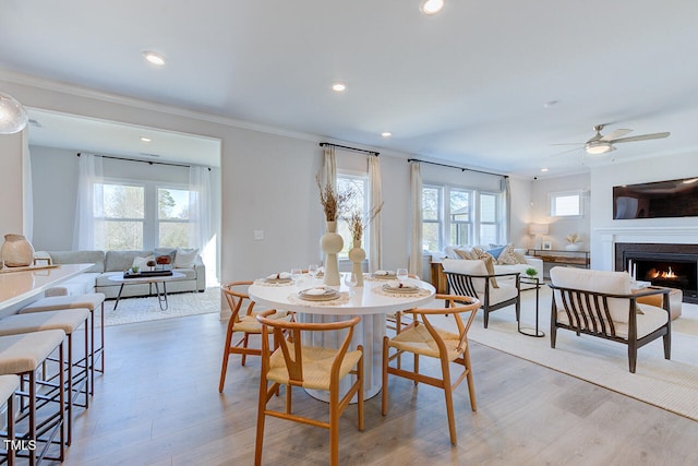 dining room with light wood-style flooring, ceiling fan, and a healthy amount of sunlight