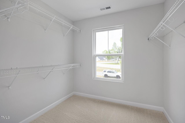 spacious closet featuring visible vents and carpet floors