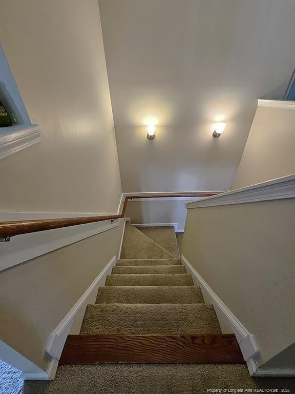stairway with carpet floors and baseboards