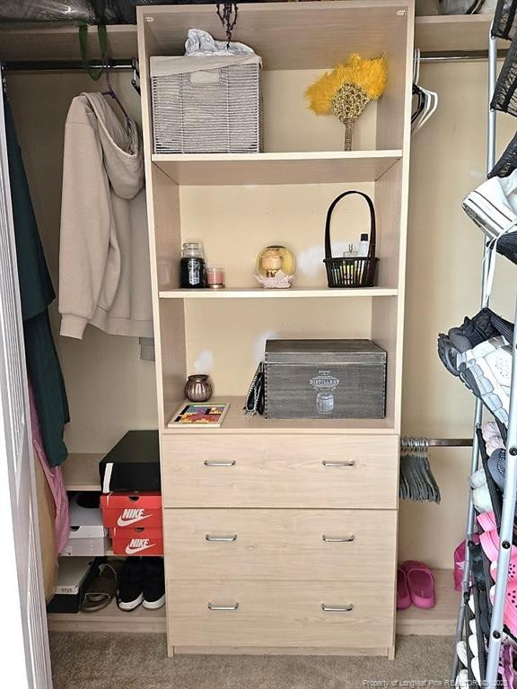 view of closet