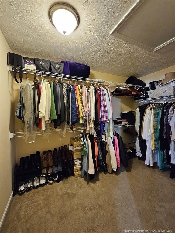 spacious closet with carpet