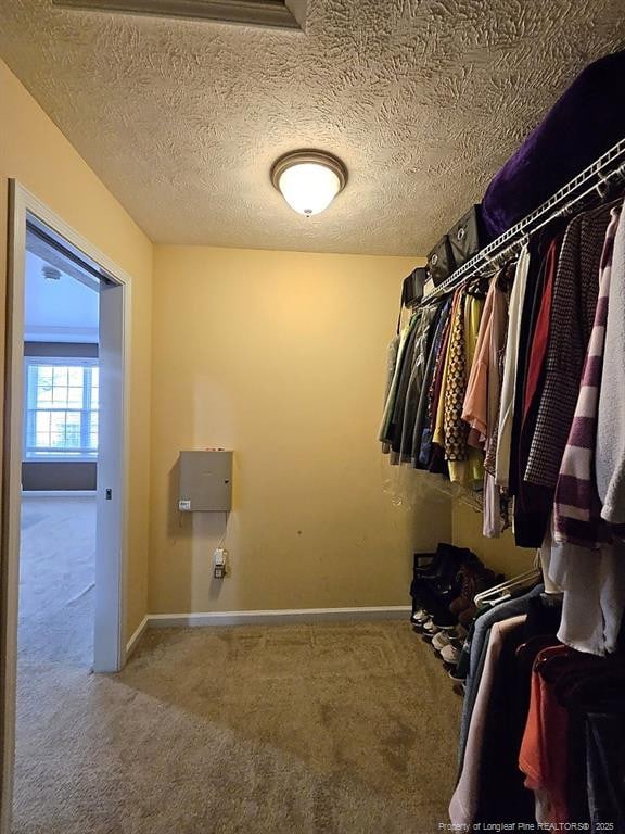 spacious closet featuring carpet floors