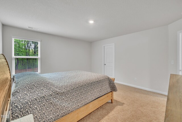 40 Poplar Bark Dr, Youngsville, NC 27596 - photo 30