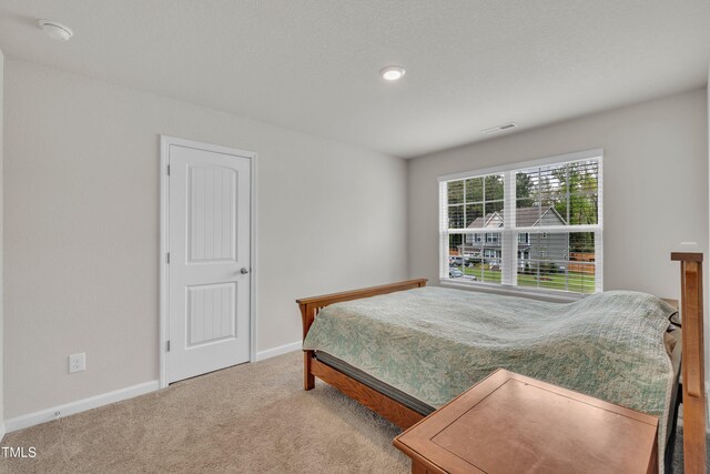 40 Poplar Bark Dr, Youngsville, NC 27596 - photo 31