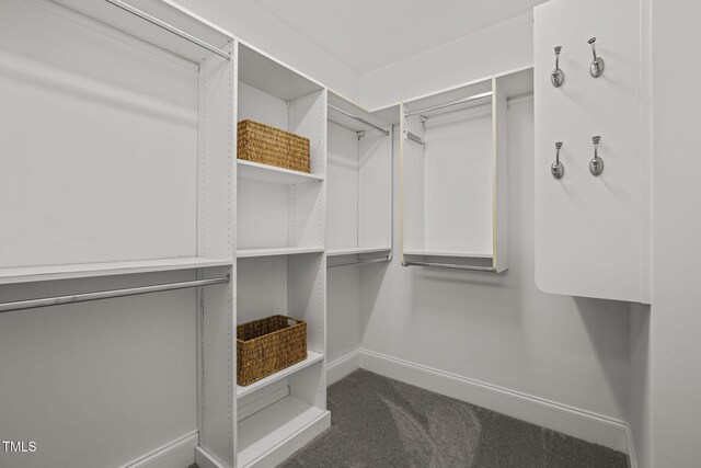 walk in closet featuring carpet flooring