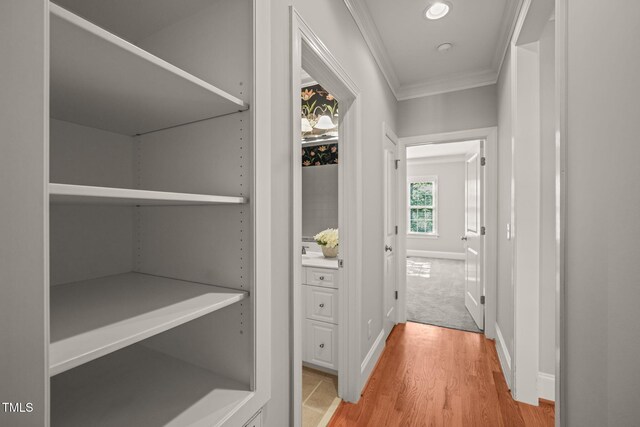 walk in closet with light wood finished floors