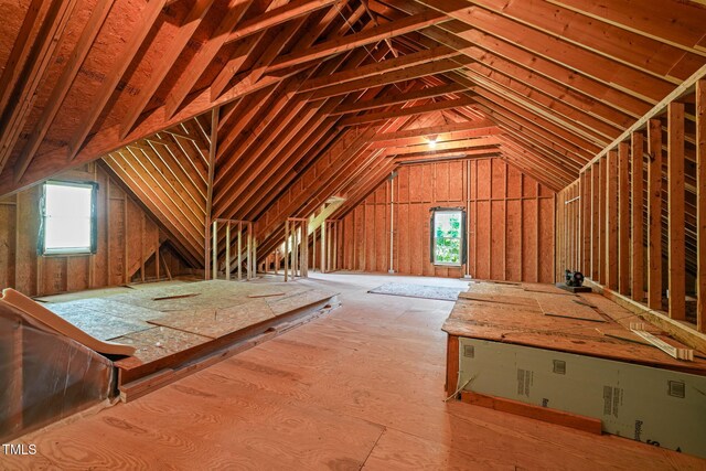 attic featuring plenty of natural light